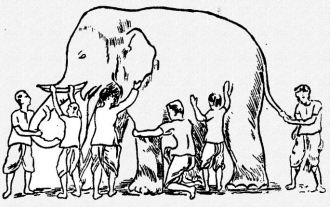 Elephant and the Blind Men