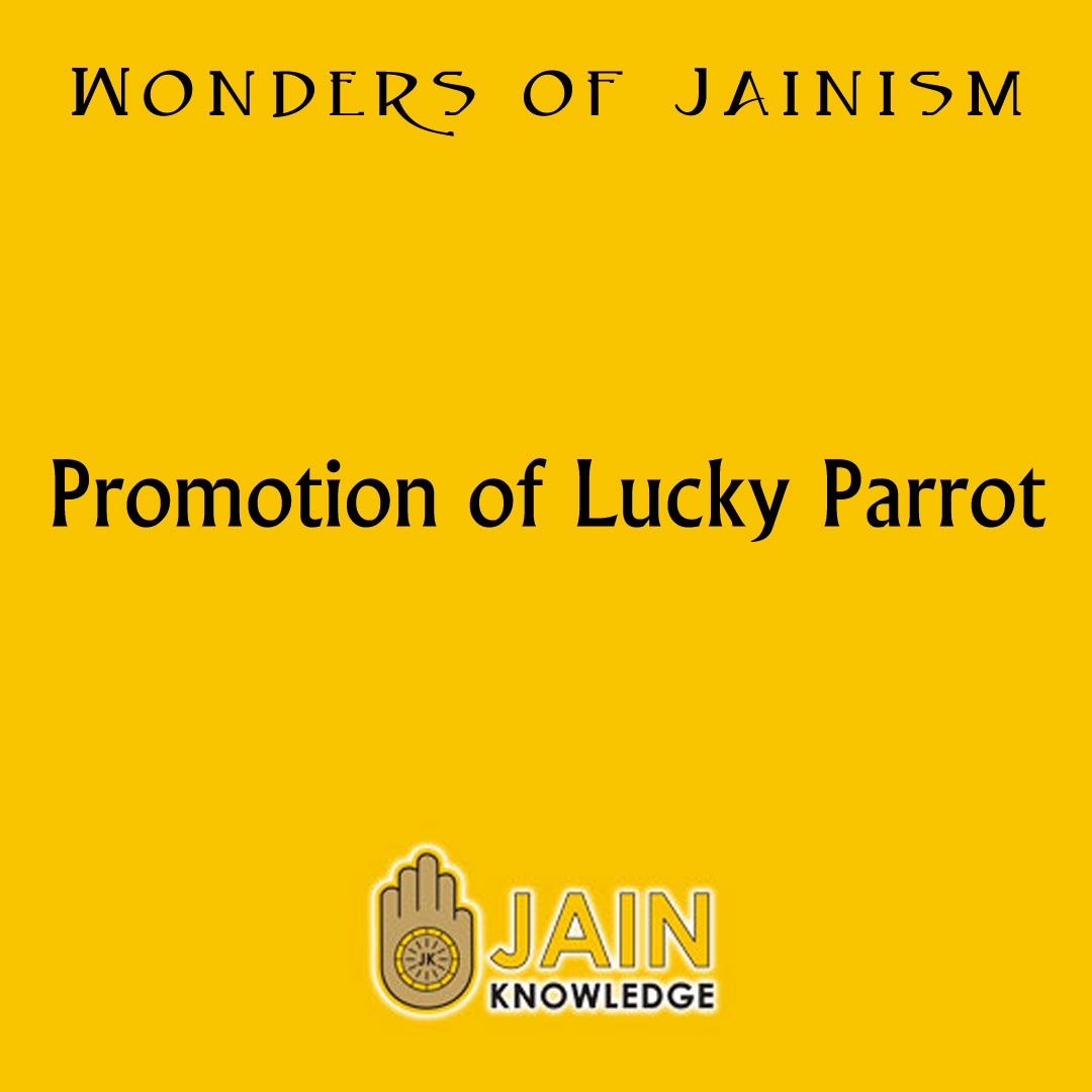 Promotion of Lucky Parrot