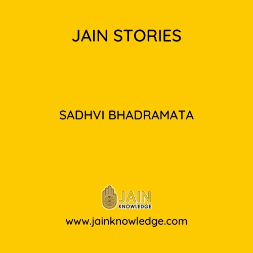 Sadhvi Bhadramata
