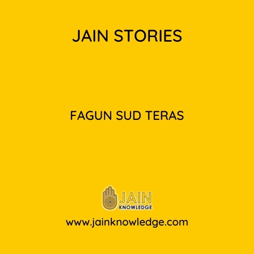 Fagun Sud Teras 