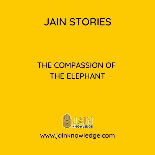 The Compassion Of The Elephant