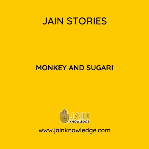 MONKEY AND SUGARI 