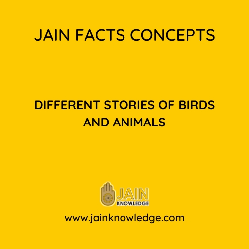 Different Stories Of Birds And Animals