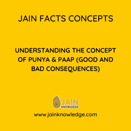 Understanding the concept of Punya & Paap (Good and bad consequences)